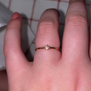 Haley added a photo of their purchase