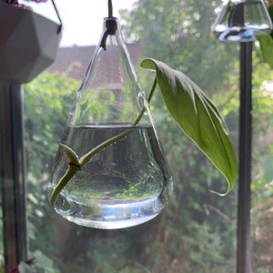 newks2550 added a photo of their purchase