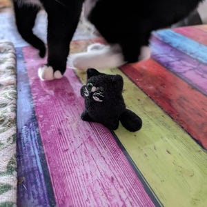 Bev adicionaram uma foto da sua compra