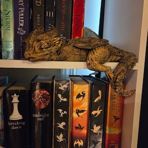 Jonathan heeft een foto van zijn/haar aankoop toegevoegd