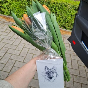 Lyn a ajouté une photo de son achat