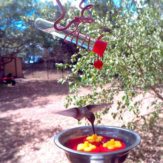 3 Hand Held Hummingbird Feeders Made and shipped directly Etsy