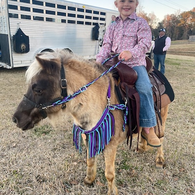 Pony Tack Set Fringe Breast Collar Reins and Pony Headstall - Etsy
