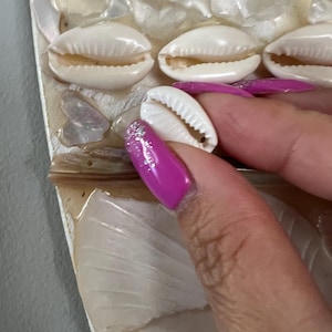 Jenny さんが購入した商品の写真を追加しました
