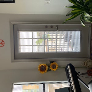 Vanessa added a photo of their purchase