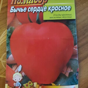 Lupine Russel Red Flame : Seeds
