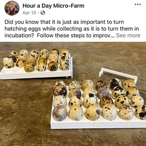 Christin added a photo of their purchase