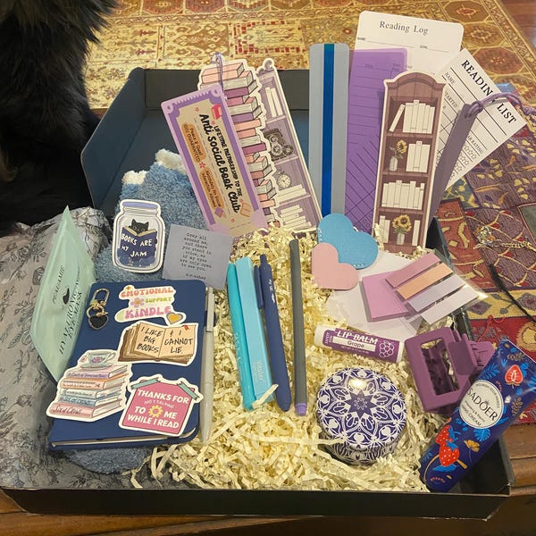 Annotation Kit for Book Lovers | Stationery Gift for Women | Annotating ...