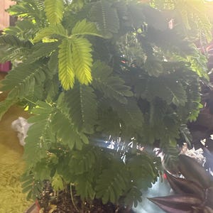 Kathy added a photo of their purchase