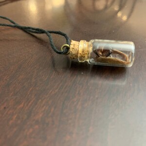 isabella added a photo of their purchase