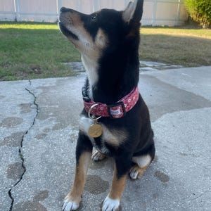 Neeko Vo added a photo of their purchase