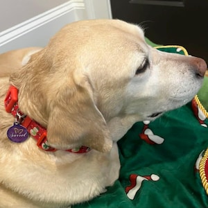 Dixie added a photo of their purchase