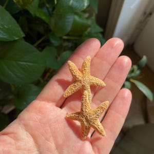 Linda ha añadido una foto de su compra