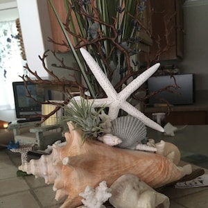 Linda added a photo of their purchase