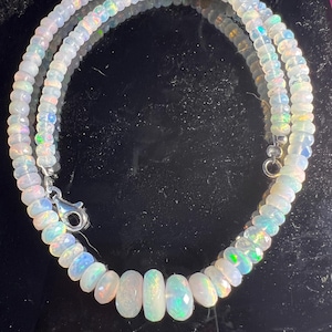 Lauren added a photo of their purchase