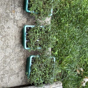 Martha added a photo of their purchase