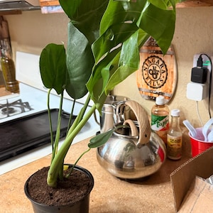 Marcie added a photo of their purchase