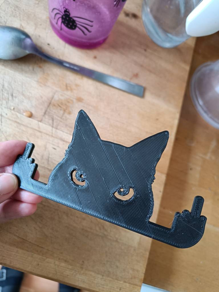 Novelty Cat Ornament Or Display On Door Or Wall