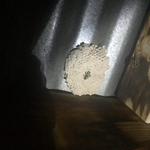 Jason added a photo of their purchase