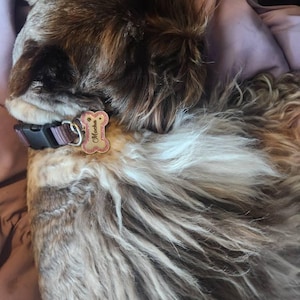 Stephanie added a photo of their purchase
