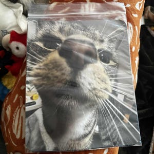 Violet added a photo of their purchase