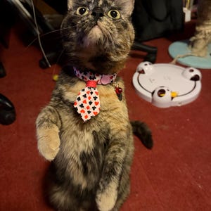June added a photo of their purchase
