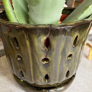 Nelissa added a photo of their purchase