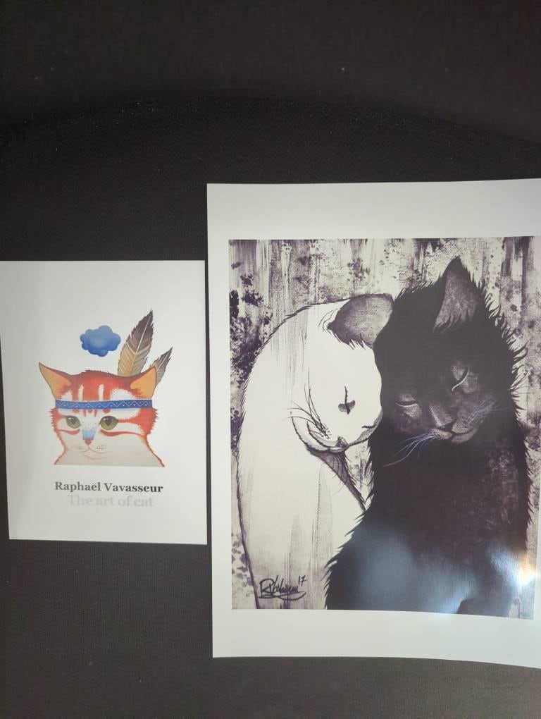 Customer photo of a cat artwork by Raphaël Vavasseur