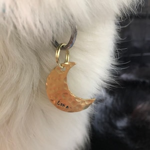 Sarah added a photo of their purchase