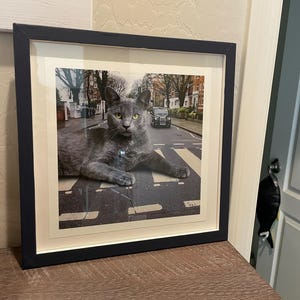 Abbey Road Cat Art Print, the Beatles Wall Art, Cat Lover Gift