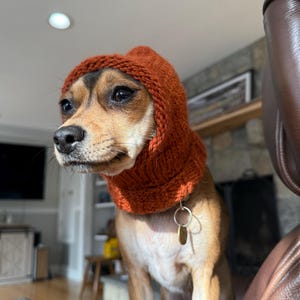 Caroline added a photo of their purchase