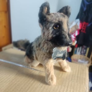 David added a photo of their purchase