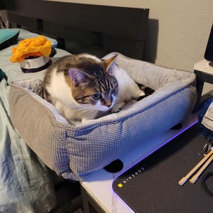 Heidi added a photo of their purchase
