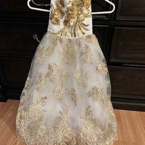 Dog Wedding Dress Custom Size,pet Long Trailing Gown Red Sequin Gold Flower  Embroidery Tulle Dress,dog Princess Costume,birthday Pet Clothes - Etsy  Finland