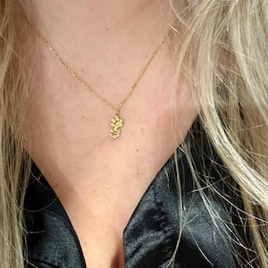 Brittany heeft een foto van de aankoop toegevoegd