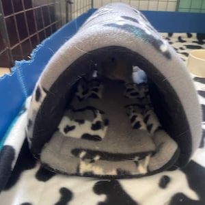 Carlos added a photo of their purchase