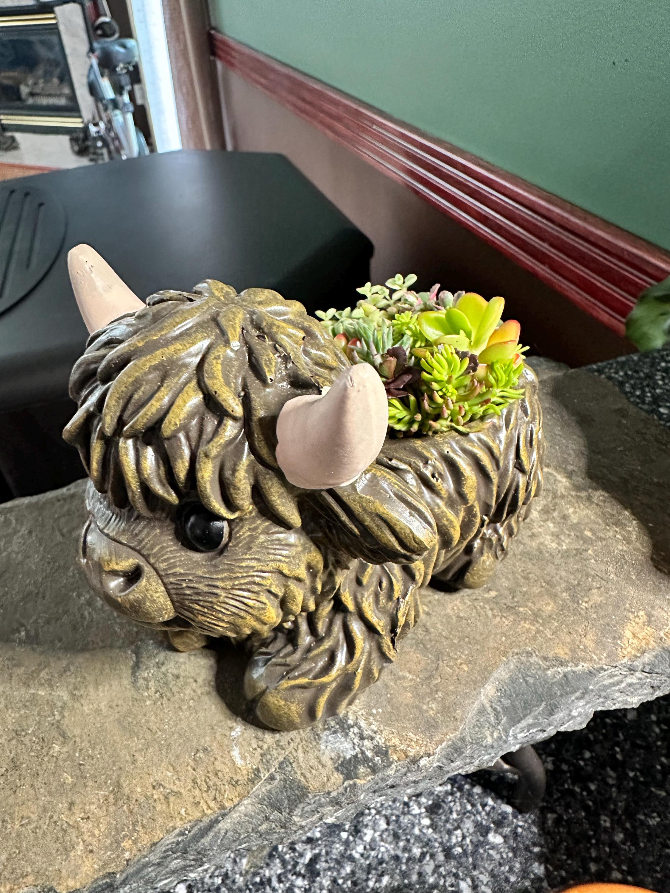 Mini Highland Cow Succulent Arrangement – Cute Succulent Planter, Farmhouse Decor, Unique Gift, Succulent Cow, Handcrafted Planter for Home