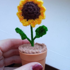 Emily added a photo of their purchase