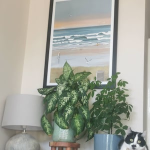 Amie a ajouté une photo de son achat