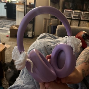 Fitz added a photo of their purchase