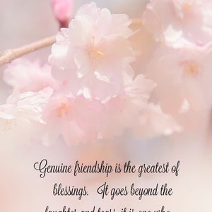 Songs added a photo of their purchase