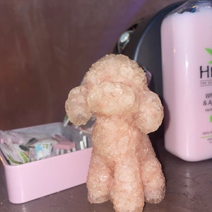 Jessica heeft een foto van de aankoop toegevoegd
