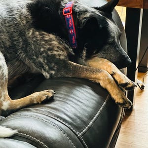 Corinne added a photo of their purchase