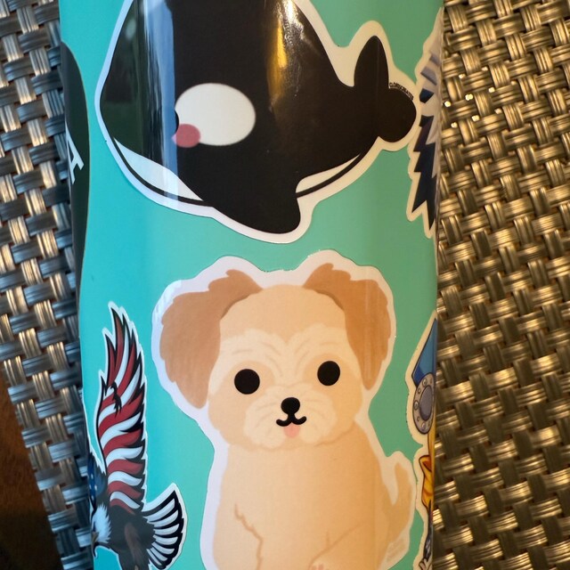 Morkie Maltese Yorkie Terrier Mix Dog Breed Waterproof Vinyl