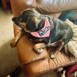 Eunice ha aggiunto una foto del proprio acquisto