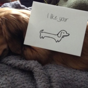 Katie added a photo of their purchase