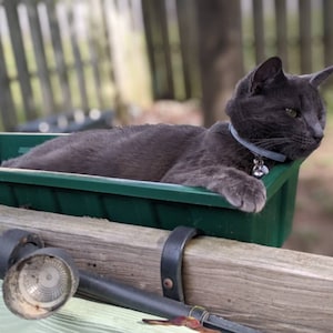 Olive added a photo of their purchase