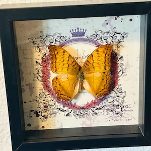 Julie a ajouté une photo de son achat