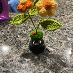 Steph added a photo of their purchase