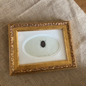 Abby added a photo of their purchase
